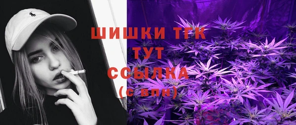 ПСИЛОЦИБИНОВЫЕ ГРИБЫ Балабаново